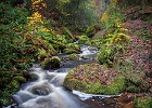 Richard Hall - Wyming Brook Autumn.jpg